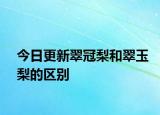 今日更新翠冠梨和翠玉梨的区别