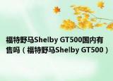 福特野马Shelby GT500国内有售吗（福特野马Shelby GT500）