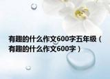 有趣的什么作文600字五年级（有趣的什么作文600字）