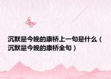 沉默是今晚的康桥上一句是什么（沉默是今晚的康桥全句）