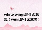 white wings是什么意思（wins.是什么意思）