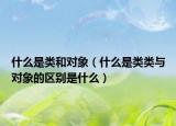 什么是类和对象（什么是类类与对象的区别是什么）