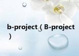 b-project（B-project）