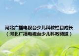 河北广播电视台少儿科教栏目成长（河北广播电视台少儿科教频道）