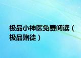 极品小神医免费阅读（极品赌徒）