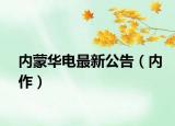 内蒙华电最新公告（内作）