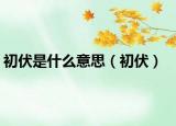 初伏是什么意思（初伏）