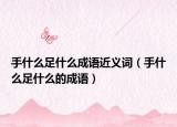 手什么足什么成语近义词（手什么足什么的成语）