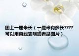 图上一厘米长（一厘米有多长????可以用直线表明或者是图片）