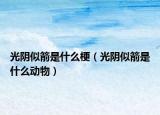 光阴似箭是什么梗（光阴似箭是什么动物）