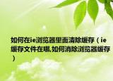 如何在ie浏览器里面清除缓存（ie缓存文件在哪,如何消除浏览器缓存）