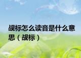 觇标怎么读音是什么意思（觇标）