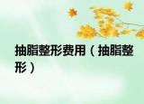 抽脂整形费用（抽脂整形）