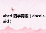 abcd 四字词语（abcd said）