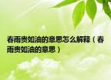 春雨贵如油的意思怎么解释（春雨贵如油的意思）
