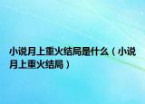 小说月上重火结局是什么（小说月上重火结局）