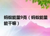 蚂蚁能量9克（蚂蚁能量能干嘛）