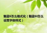 魅蓝6怎么格式化（魅蓝6t怎么设置字体样式）
