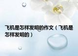 飞机是怎样发明的作文（飞机是怎样发明的）