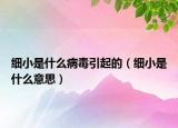 细小是什么病毒引起的（细小是什么意思）