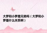 大罗和小罗是兄弟吗（大罗和小罗是什么关系啊）