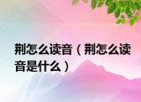 荆怎么读音（荆怎么读音是什么）