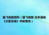 猿飞佐助百科（猿飞佐助 日本漫画《火影忍者》中的角色）