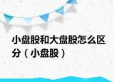 小盘股和大盘股怎么区分（小盘股）