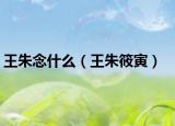 王朱念什么（王朱筱寅）