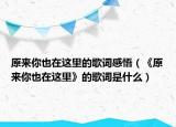 原来你也在这里的歌词感悟（《原来你也在这里》的歌词是什么）