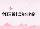 今日更新米是怎么来的