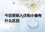 今日更新入伏和小暑有什么区别