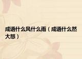 成语什么风什么雨（成语什么然大怒）
