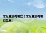 常见益虫有哪些（常见益虫有哪些昆虫）