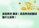 激流勇进 翻译（激流勇进的翻译是什么意思）