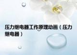 压力继电器工作原理动画（压力继电器）