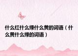 什么红什么绿什么黄的词语（什么黄什么绿的词语）