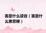 害是什么读音（害是什么意思梗）
