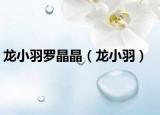 龙小羽罗晶晶（龙小羽）