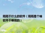 陌陌干什么的软件（陌陌是个啥软件干嘛用的）