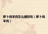 萝卜炖羊肉怎么做好吃（萝卜炖羊肉）