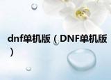 dnf单机版（DNF单机版）