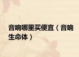 音响哪里买便宜（音响生命体）
