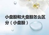 小盘股和大盘股怎么区分（小盘股）