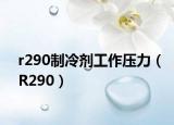 r290制冷剂工作压力（R290）