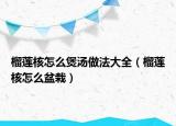 榴莲核怎么煲汤做法大全（榴莲核怎么盆栽）