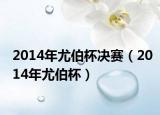 2014年尤伯杯决赛（2014年尤伯杯）