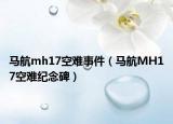 马航mh17空难事件（马航MH17空难纪念碑）