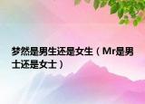 梦然是男生还是女生（Mr是男士还是女士）