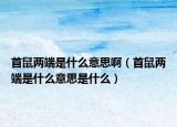 首鼠两端是什么意思啊（首鼠两端是什么意思是什么）